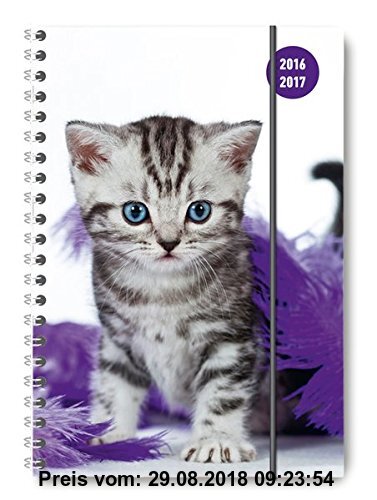 Gebr. - Collegetimer Cat 2016/2017 - Schülerkalender A5 - Weekly - Ringbindung - 224 Seiten