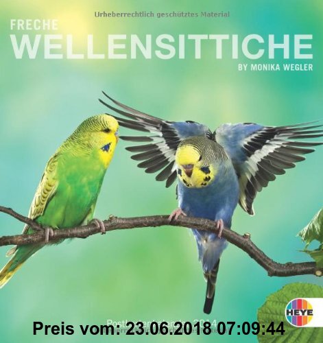 Gebr. - Freche Wellensittiche 2014. Postkartenkalender