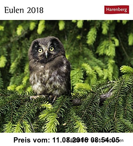 Gebr. - Eulen - Kalender 2018: Kalender mit 53 Postkarten
