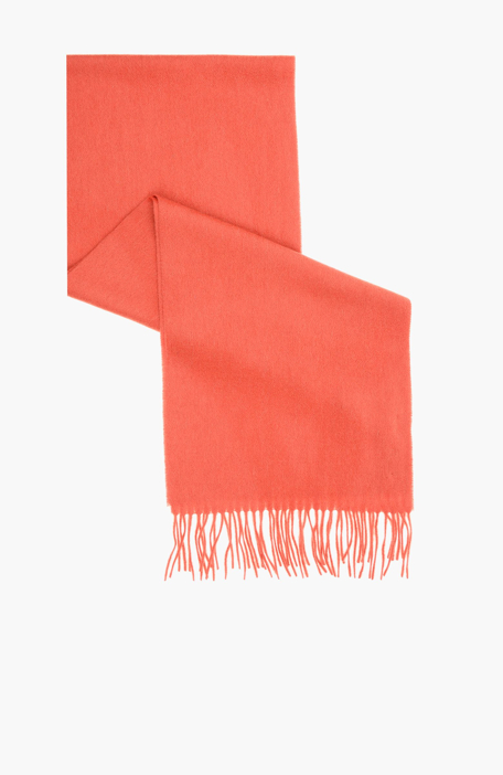 

NETWORK T866, Orange